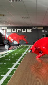 Taurus Gym Baranja