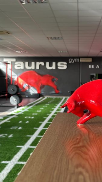 Taurus Gym Baranja