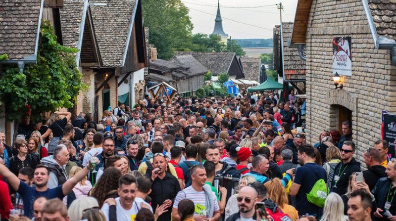 Vinski Maraton